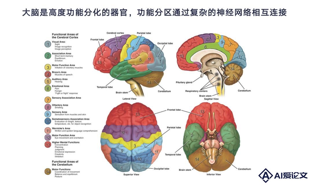 脑机接口和 AI，一个硬币的两面